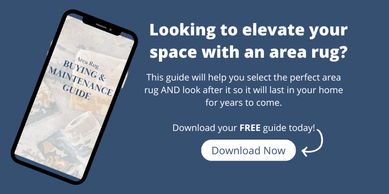 download button for an area rug buying and maintenance guide
