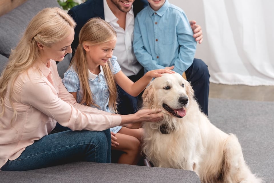 family with two kids on couch looking at golden retriever dog
